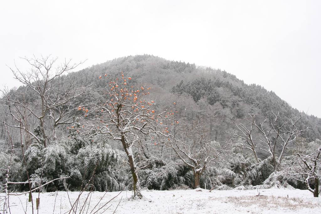 Вилла Madarao Farm Nakano  Экстерьер фото