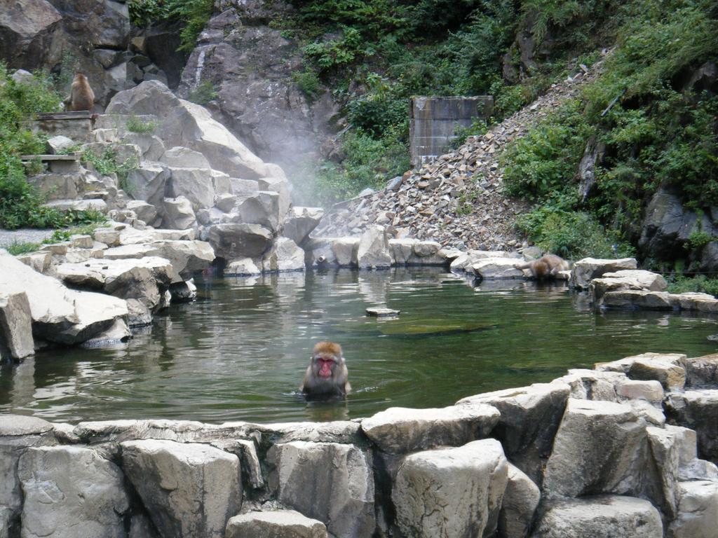 Вилла Madarao Farm Nakano  Экстерьер фото